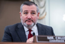 Ted Cruz Discusses When Shutdown May End