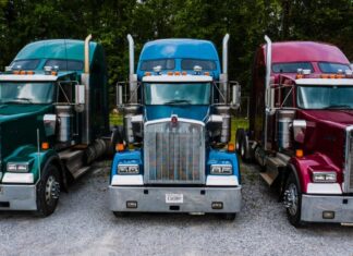 California Blamed for Unlawful Licenses in Federal Probe