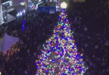 Portland Officials Rename Christmas Tree ‘The Tree’