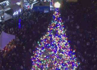 Portland Officials Rename Christmas Tree ‘The Tree’