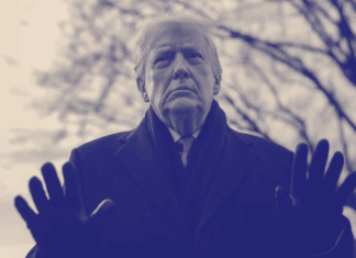 Trump Comments On Insurrection Act Use During Interview