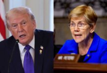 Trump Reportedly Has Friendly Phone Call With Senator Warren