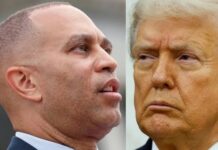 Trump Comments On Jefferies Statement About Proposed Bill