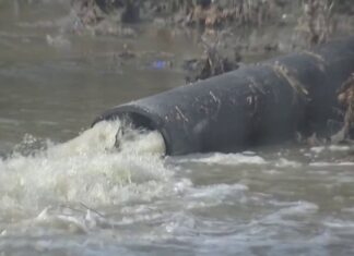 Trump Steps In After Dems Flub Response To Huge Environmental Disaster