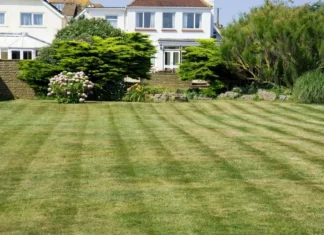 New Take On ‘White Supremacy’ Goes Viral