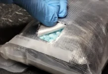 Border Patrol Stops 100 Million Fentanyl Doses At the Border
