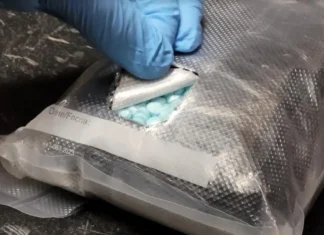 Border Patrol Stops 100 Million Fentanyl Doses At the Border