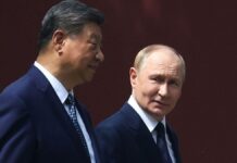 Putin Seeks New Pipeline to China