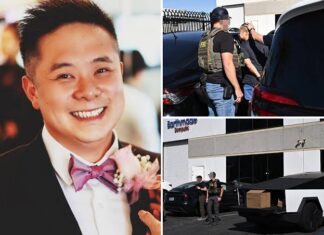 Greg Lui Charged In $300 Million AI Smuggling Case